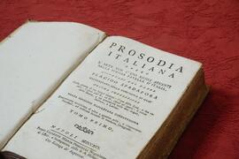 InternoLibro antico in copertina rigida n.24