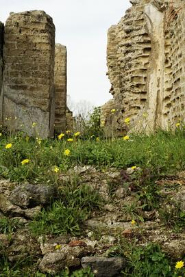 Resti di arco di passaggio 3