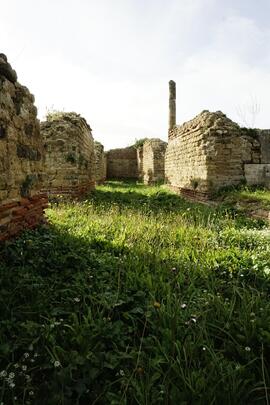 Resti di murazione romana 5 Liternum