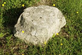 Base di colonna nel complesso archeologico di Liternum