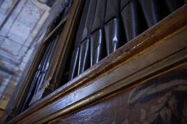 Canne dell’organo