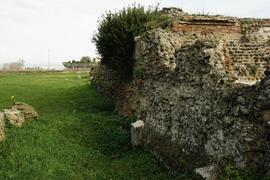 Resti di capitolio (base tempio) Litenum