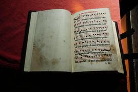 Interno Libro antico in copertina rigida n.88