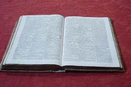 Bottega campanasec.XVIII, InternoLibro antico in copertina rigida n.3
