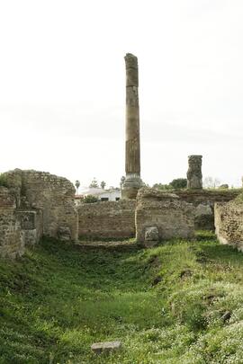 Colonna di capitolio