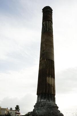 Elementi in pietra di colonna